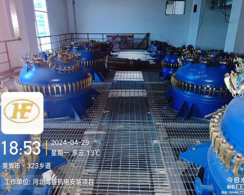 河北海盛藥業(yè)有限公司年產(chǎn)50t氨磺必利原料藥項(xiàng)目